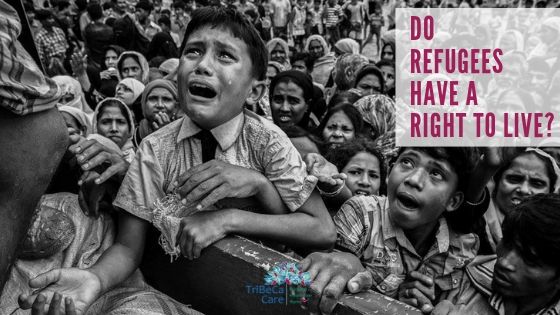 Rohingya refugees world refugee day