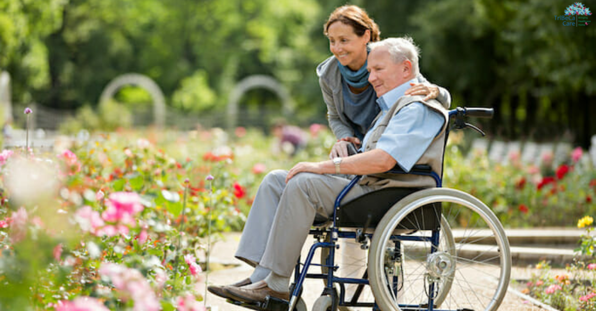 a guide to wheel chairs